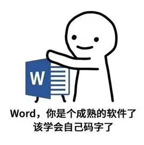 你已经是个成熟的软件了是什么梗网络用语