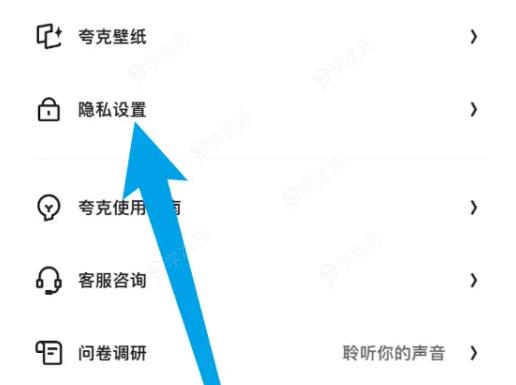 夸克浏览器怎么开启成人模式 夸克浏览器开启成人模式教程_图片