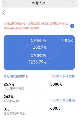 湖南人社智慧app怎么查询每个月到账 具体操作方法介绍_图片