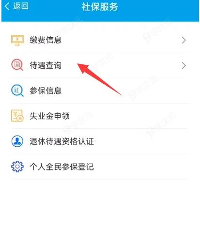 湖南智慧人社怎么查退休工资 湖南智慧人社查询养老待遇方法_图片