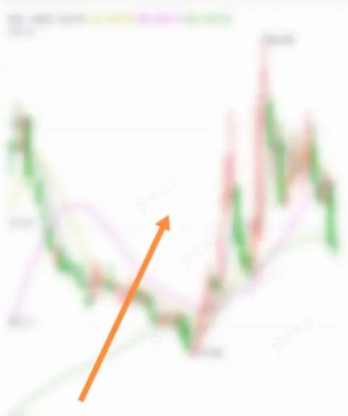 通达信金融终端怎么看持仓明细 通达信看主力建仓指标方法_图片