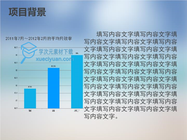 公司系统软件