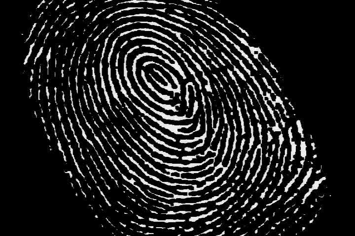 《Fingerprint》-mov效果文件 模版免费下载_xueciyuan.com-学次元素材