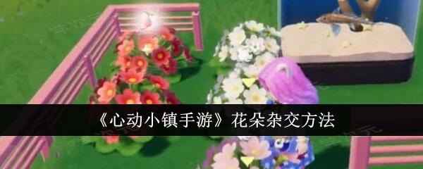 心动小镇手游花朵怎么杂交  心动小镇手游花朵杂交方法_图片