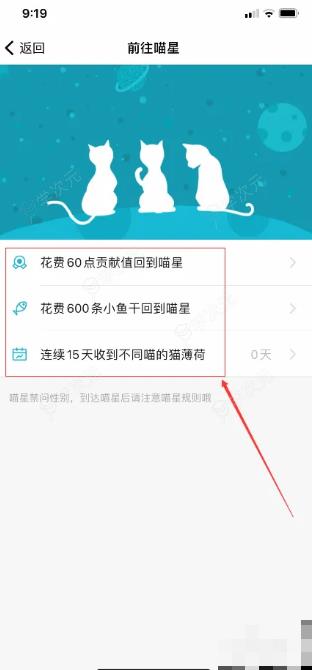 随喵怎么回到喵星 随喵怎么花费贡献点前往喵星_图片