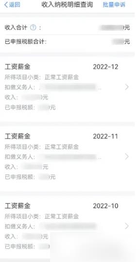 个人所得税app如何打印工资收入明细 查询工资明细教程_图片