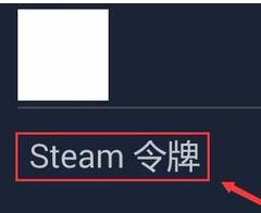 steam手机令牌换手机绑定教程 换手机了怎么绑定新手机_图片