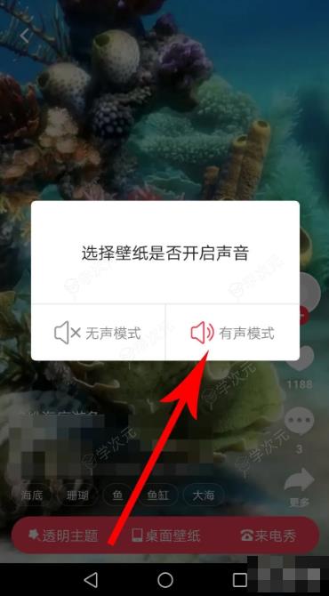 熊猫动态壁纸如何更换 熊猫动态壁纸怎么设置桌面壁纸_图片