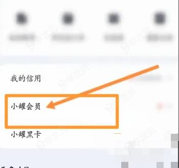 洋钱罐app怎么办理会员 洋钱罐软件中怎么开通会员_图片