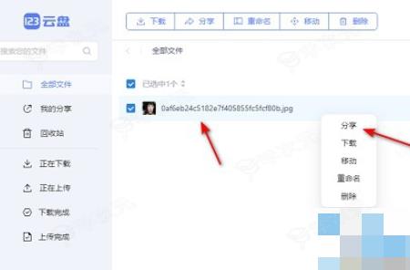 123云盘如何分享文件 123云盘如何分享文件给其他人_图片