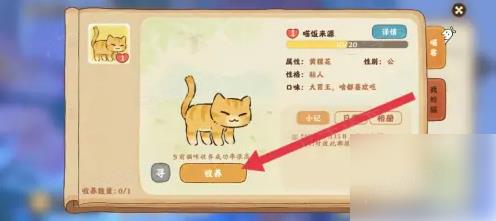 桃源深处有人家怎么养更多的猫 桃源深处有人家收养小猫方法_图片