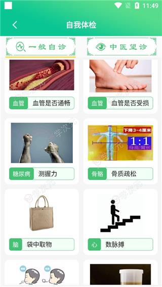 养生通app_图片